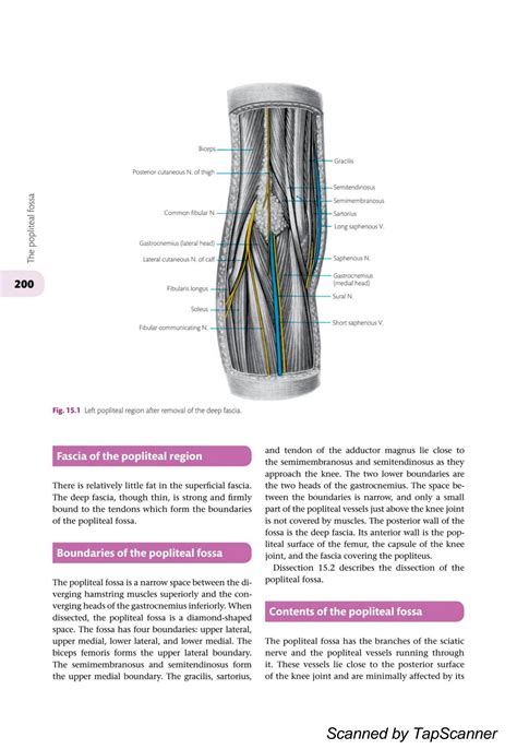 SOLUTION: Cunningham s manual for upper and lower limb part 22 1 ...