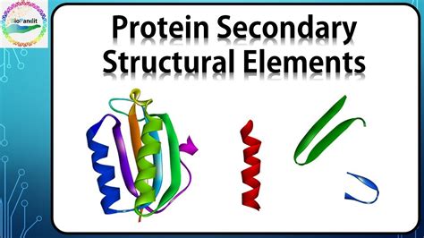 Which Of These Illustrates The Secondary Structure Of A Protein