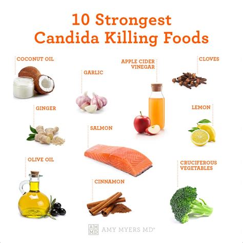 The Anti-Candida Diet: The Strongest Candida Killers | Amy Myers MD