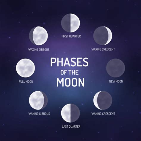 Waning Crescent Moon Illustrations, Royalty-Free Vector Graphics & Clip ...