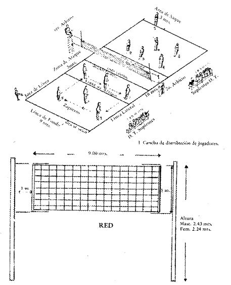 Posiciones De Los Jugadores En La Cancha De Voleibol