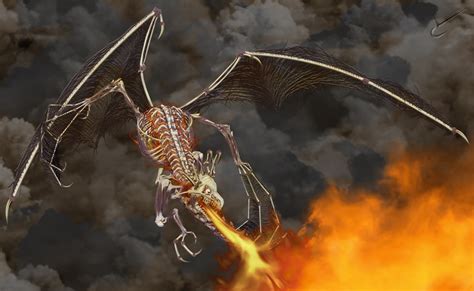 Undead Dragon by Sthap on DeviantArt