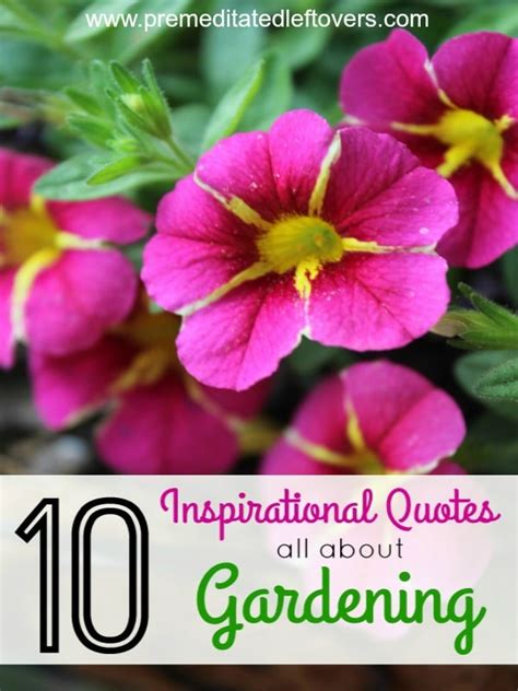 10 Inspirational Quotes All About Gardening