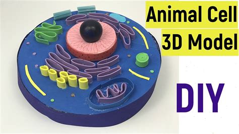 Animal Cell 3d Model Animal Cell Animal Cell Model Project Cell Model ...