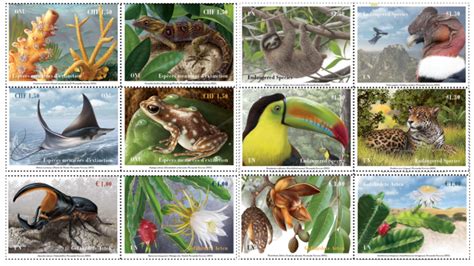 UN Stamps show endangered species of South America and Caribbean ...