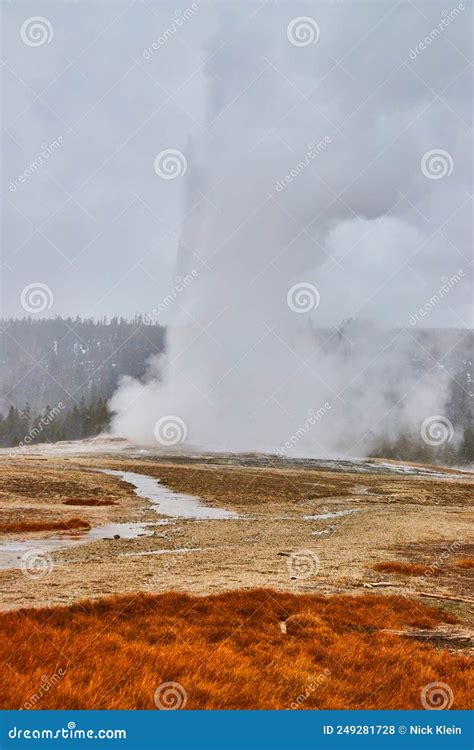 Old Faithful Iconic Yellowstone Geyser in Winter Stock Photo - Image of ...