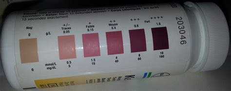 Ketostix Ketone Urine Analysis Test Strips - What Have I Been Doing