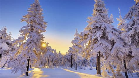 Beautiful winter sun wallpaper desktop. | Hintergrundbilder winter ...