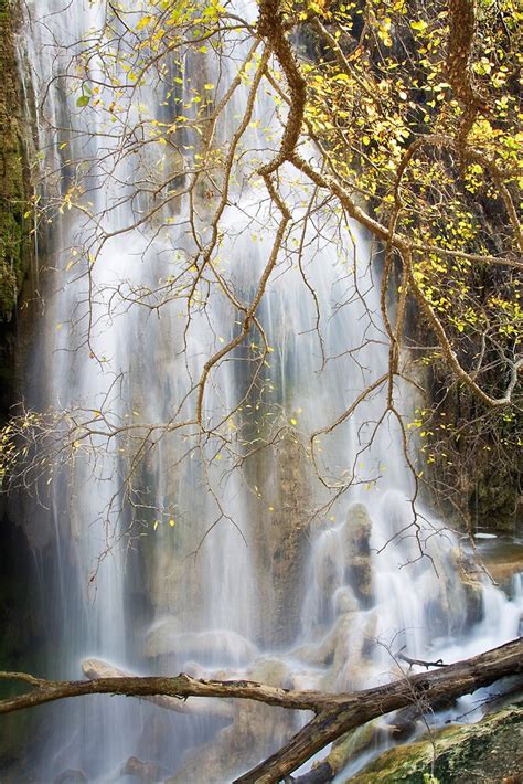 "Gorman Falls in Colorado Bend State Park, Texas" by Kim Barton | Redbubble