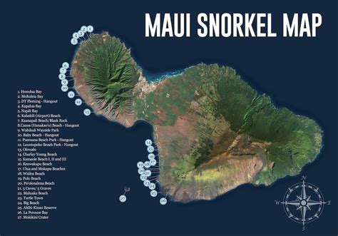 Top 6 Maui Snorkeling Spots | Banyan Tree Divers