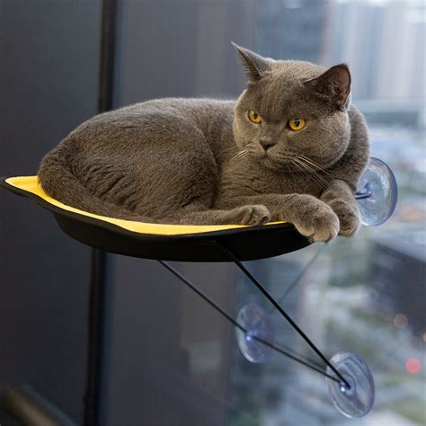 Window Perch Seat Suction Cups Cat Bed – FunnyFuzzy_UK