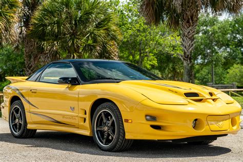 Pontiac firebird trans am - caribbeangross