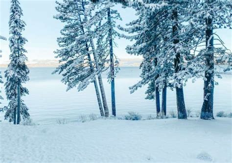 Complete Insider's Lake Chelan Winter Guide