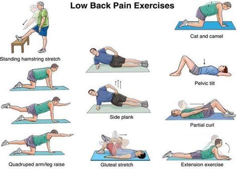 Beat lower back pain with exercise! - Complete Chiropractic - Your ...