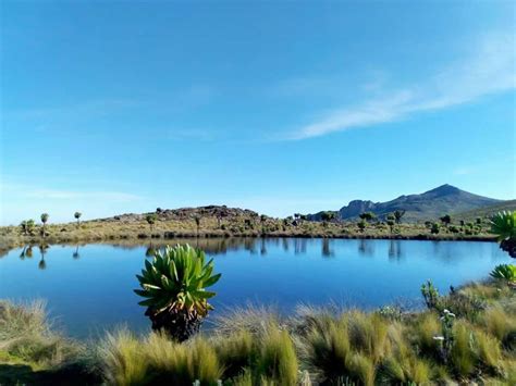 Mount Elgon Caldera. Visit Mount Elgon Caldera