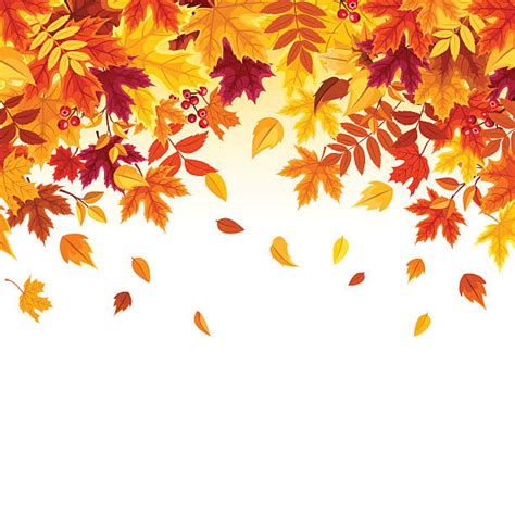 Best Fall Leaves Illustrations, Royalty-Free Vector Graphics & Clip Art ...