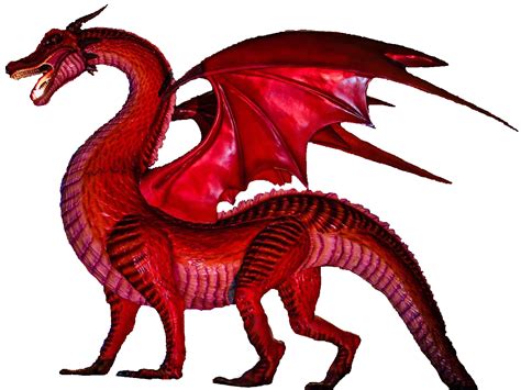 Western Dragon PNG Images Transparent Free Download