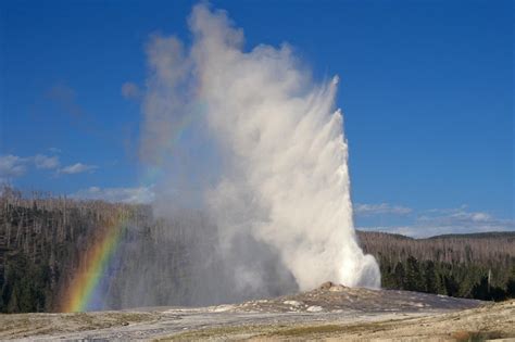 Experiencing the Old Faithful Geyser Basin - Jackson Hole Traveler