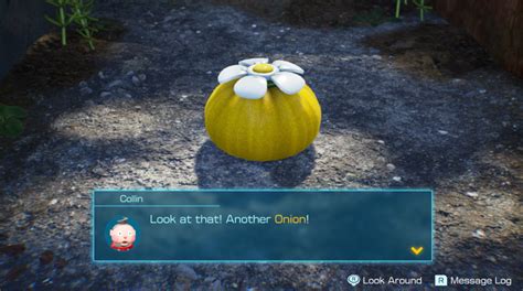 How to find the Yellow Pikmin Onion in Pikmin 4