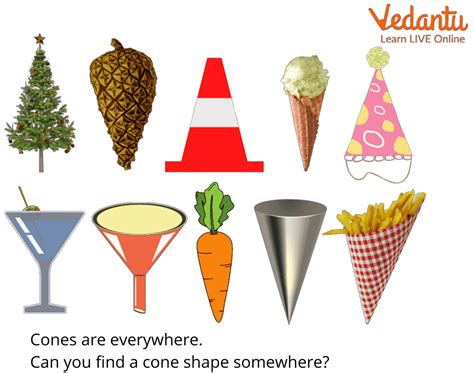 Cone Shaped Objects