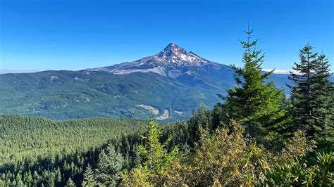 Mount Hood National Forest - Forestry.com