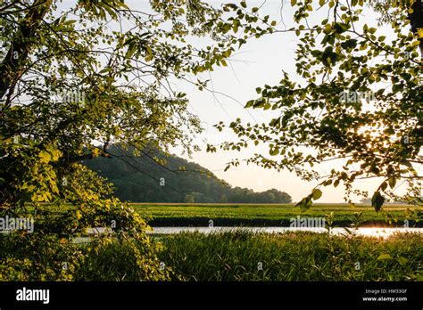 The Trempealeau Mountain and Mississippi river through the trees and ...