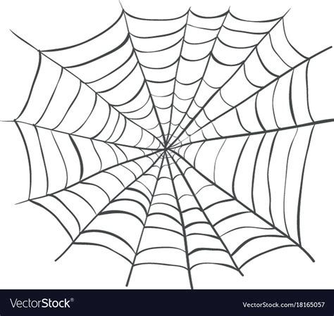 Spiderweb web spider Royalty Free Vector Image