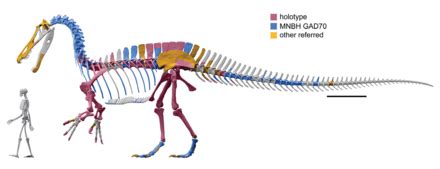 Suchomimus - Wikipedia