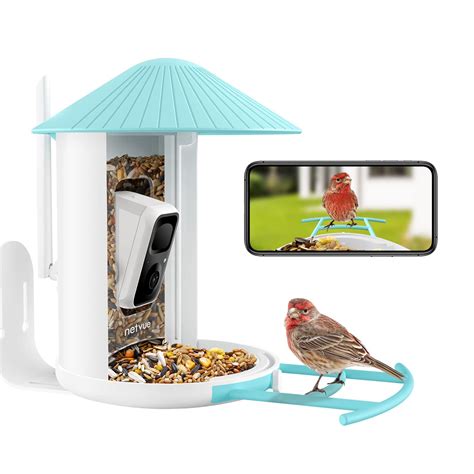 NETVUE Birdfy Lite- Smart Bird Feeder Camera, Bird Watching Camera Auto ...