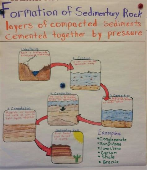 Sedimentary Rock Formation Diagram