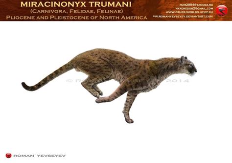 Miracinonyx trumani by RomanYevseyev on DeviantArt | Prehistoric ...