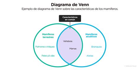 Concepto De Diagrama De Venn Diagramas De Venn