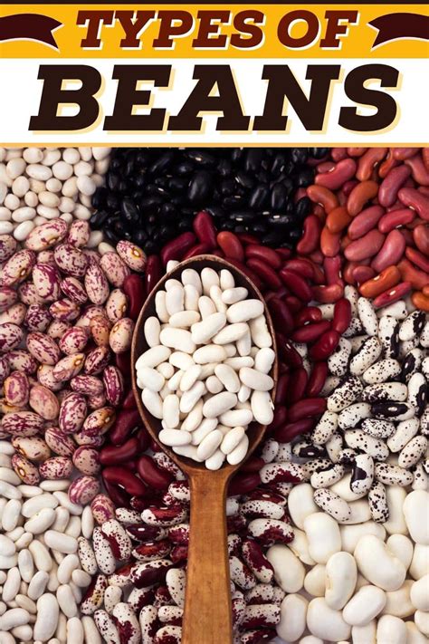 17 Popular Types of Beans (+ How to Use Them) - Insanely Good