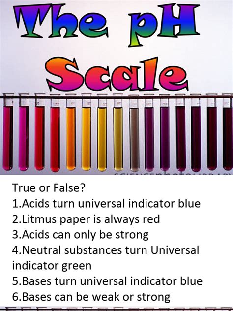 PH Scale | PDF