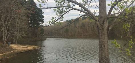 Big Hill Pond State Park Campground, Pocahontas | Roadtrippers