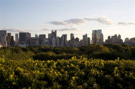 The Fabulife: The Metropolitan Museum of Art Rooftop bar