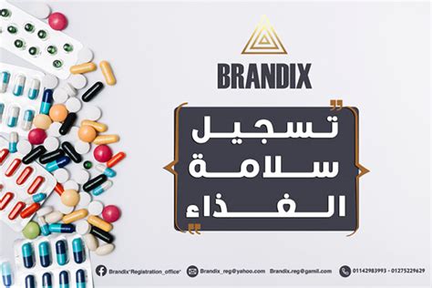 BRANDIX on Behance