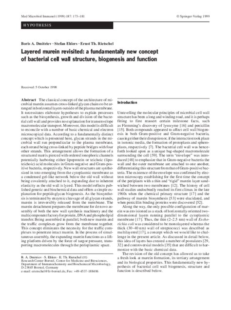 (PDF) Layered murein revisited: a fundamentally new concept of ...