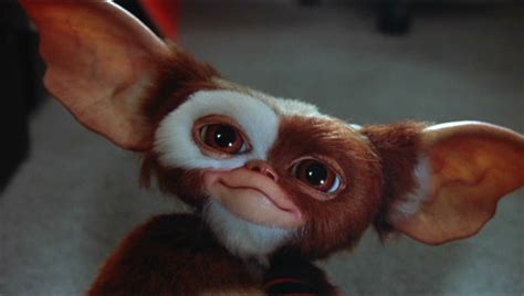 Gizmo - Gremlins Wiki