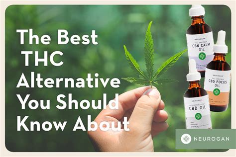 The Best THC Alternatives | Cannabinoid Substitutes