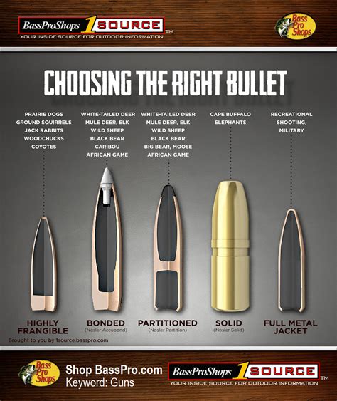 Bullet Cartridge Size Chart Bullets: Sizes, Calibers, And Ty