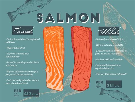 Wild Vs Farmed Salmon — Wild Source Salmon