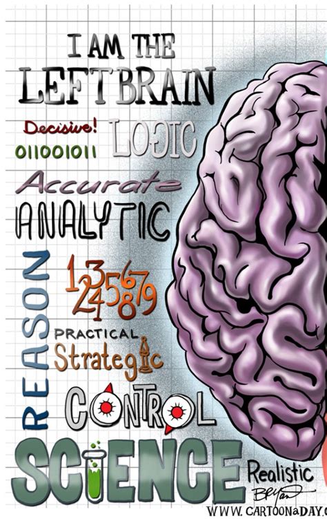 Left Brain Right Brain Illustration Cartoon