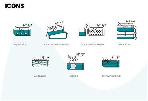 Hydroponics on Behance