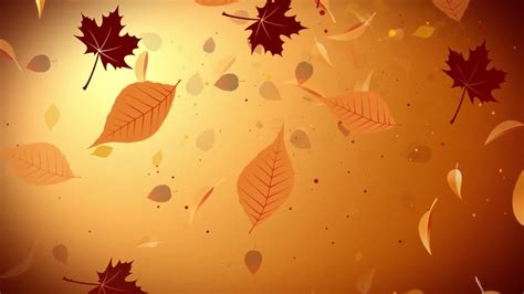 Autumn Leaves Falling Stock Video Footage for Free Download