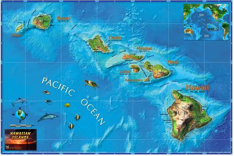 Hawaiian Islands Wall Map | Maps.com.com