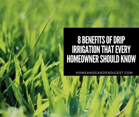 8 Benefits Of Drip Irrigation That Every Homeowner Should Know