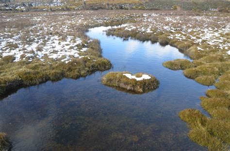 Camping Cradle Mountain - Free Camping Tasmania Map Guide