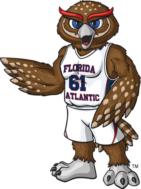 Florida Atlantic Owls Logo - Mascot Logo - NCAA Division I (d-h) (NCAA ...