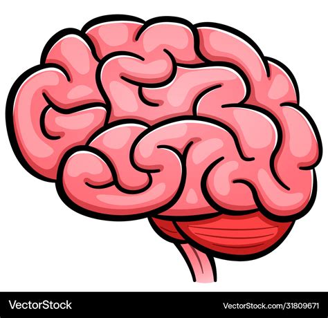 Human brain cartoon isolated Royalty Free Vector Image